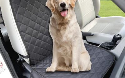 Best Car Seat Covers in 2026
