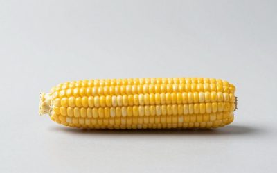 Sweet Corn Recipes: 15 Easy Ways to Use It